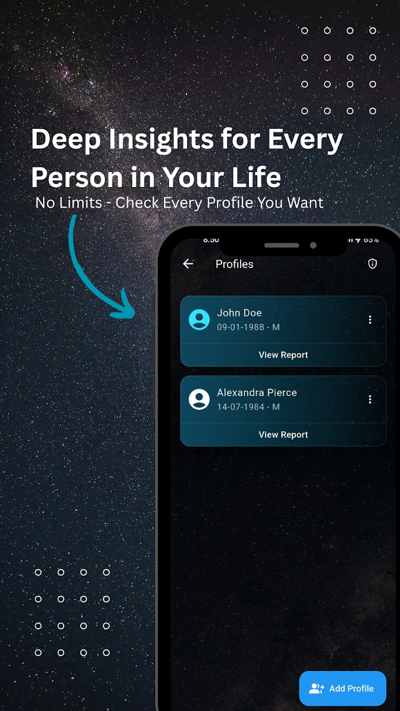 Numerology App Screen 2